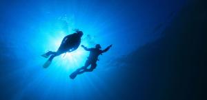 two people are swimming in the water with a dolphin at Oludeniz Hostel in Fethiye