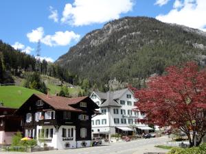 Foto dalla galleria di Gotthard Backpacker a Wassen