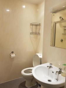 een badkamer met een toilet, een wastafel en een spiegel bij Blagrave Rooms in Reading