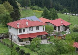 an aerial view of a house with red roofs at Villa Filokosta in Pertouli