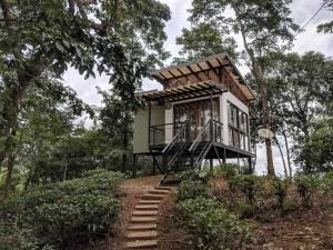 une cabane dans les arbres au milieu d'une forêt dans l'établissement Chateau Woods, à Kalpatta