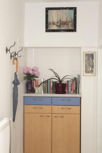 Biblioteca nell'appartamento