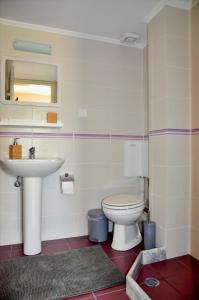 a bathroom with a toilet and a sink at Vanna's Apartments in Leonidion