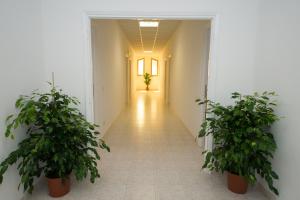 Фотография из галереи Ostello San Luigi Orione в Анцио