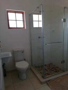 uma casa de banho com um WC e uma cabina de duche em vidro. em Mashusha Guest House em Bokaa