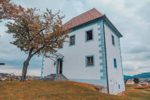 Foto dalla galleria di Wine Grower's Mansion Zlati Gric a Slovenske Konjice