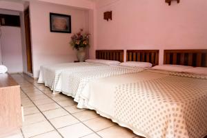 Fotografie z fotogalerie ubytování Hotel Michelle v destinaci San Andrés Tuxtla