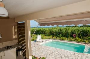 ein Haus mit einem Pool und einer Terrasse in der Unterkunft Fleur de canne in Sainte-Rose