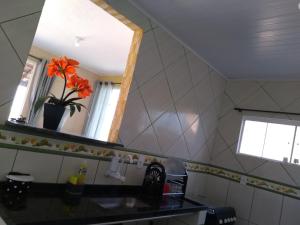 baño con espejo y lavabo con planta en Casa do ph1, en Arraial do Cabo
