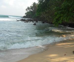 a beach with a group of rocks in the water w obiekcie Thusara Guesthouse w mieście Mirissa