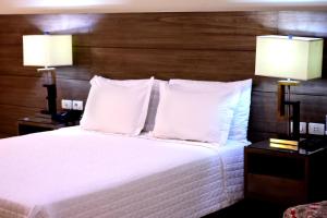 Fotografija u galeriji objekta Hotel Le Pelican u gradu Asunsion