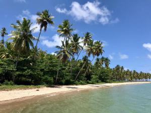 Gallery image of Lindo Flat Carneiros in Tamandaré