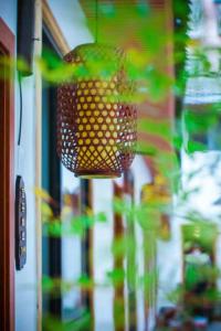 a basket hanging from the ceiling of a store at Zhangjiajie Tingyutang Little Yard in Zhangjiajie