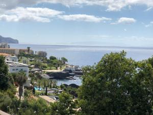 Vue sur une ville avec l'océan en arrière-plan dans l'établissement Astro Vista Madeira Apartments, à Funchal