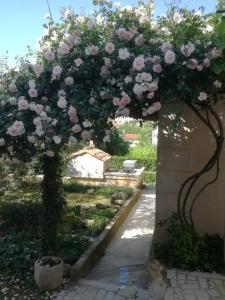 an archway with pink roses on it in a garden at Morena in Pula