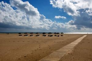 a group of umbrellas and chairs on a beach at Sol y Sombra Apartamento con entrada independiente in Isla del Moral