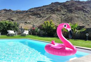 アマドレスにあるElle Ocean Villa Gran Canaria Heated pool Wifiのピンク色のフラミンゴ