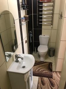 a small bathroom with a sink and a toilet at Fortuna in Cherche