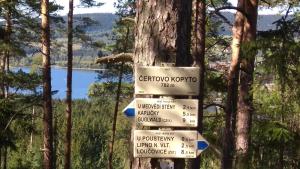 Fotografia z galérie ubytovania Apartmán Nikol Lipno nad Vltavou v destinácii Lipno nad Vltavou