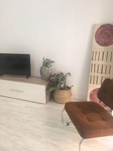 TV a/nebo společenská místnost v ubytování Apartamento Avenida de Portugal