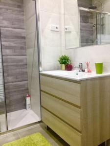 y baño con ducha, lavamanos y ducha. en Apartamento Avenida de Portugal, en Logroño