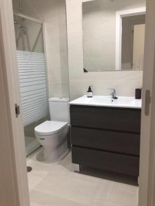 a bathroom with a sink and a toilet and a mirror at Apartamento Avenida de Portugal in Logroño