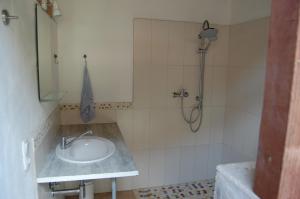 a bathroom with a sink and a shower at Chalet à Bazian in Bazian