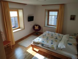 a bedroom with a bed and two windows at Ferienwohnung Sailer in Fügen