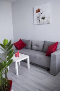 Φωτογραφία από το άλμπουμ του Victory Apartment σε Zhensna Polʼska