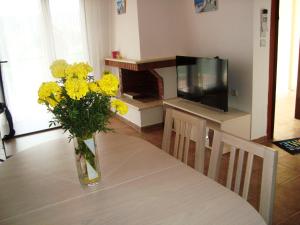 Kuchyň nebo kuchyňský kout v ubytování Apartment for Family