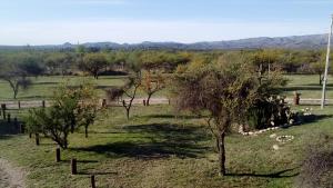 a field with trees in the middle of a field at Alto Valle Cabañas de Montaña in Mina Clavero