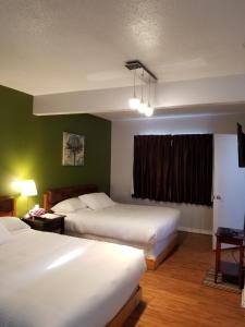 Postel nebo postele na pokoji v ubytování Sun Plaza Motel