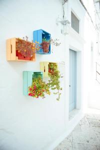 un muro bianco con tre scatole con sopra delle piante di Exclusive Apartments a Martina Franca