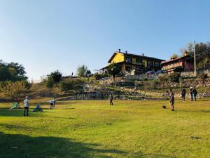 a group of people in a field flying kites at BB10 OASI in Arona