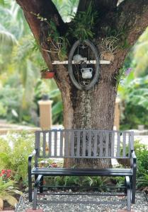 a bench sitting in front of a tree at Millsborough B&B in Billy Dun