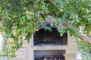 einen Steinkamin unter einem Baum mit Äpfeln in der Unterkunft Apartments Sweet garden in Vodice