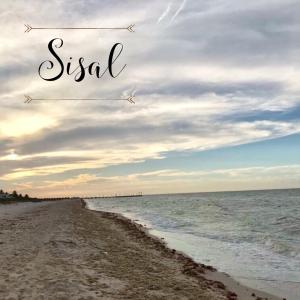 an airplane is flying over a beach with the words sick at CASA KINICH SISAL in Sisal