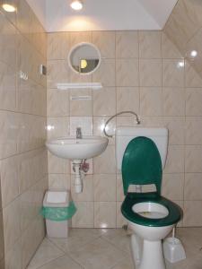 a bathroom with a green toilet and a sink at Szkolne Schronisko Młodzieżowe Złoty Widok in Piechowice