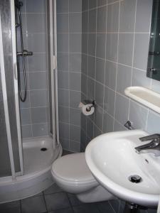 a bathroom with a sink and a toilet and a shower at International Hall / University of London in London