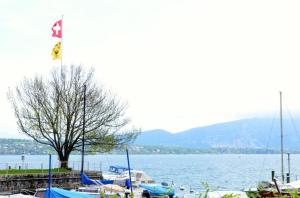 una bandera ondeando sobre un cuerpo de agua con barcos en Hotel Restaurant Kutchi, en Bellevue