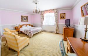 Televízia a/alebo spoločenská miestnosť v ubytovaní Hotel Garden