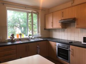 a kitchen with wooden cabinets and a sink and a window at Backhome Flat in Newcastle upon Tyne