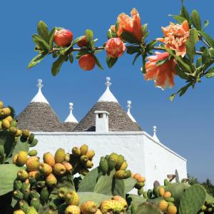 an image of a church with flowers and plants at Hotel Don Ferrante in Monopoli