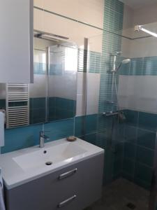 La salle de bains est pourvue d'un lavabo et d'une douche avec un miroir. dans l'établissement Petite suite sympa Avoine, à Avoine