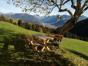 stół piknikowy siedzący obok drzewa z ptaszym domem w obiekcie Bigraberhof w mieście Valdaora