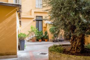 an entrance to a building with a tree in a courtyard at Vatican Studio Apartment in Rome