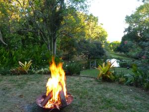 Fotografie z fotogalerie ubytování Magnolia Cottage v destinaci Cooroy + 32 fotografií