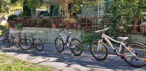 Jízda na kole v ubytování Apartments Cvitini Dvori Garjak nebo okolí