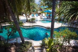 a person swimming in a pool with palm trees at Sunrise Resort in Gili Islands