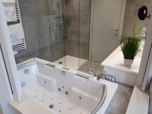 Hôtel du Parc Ath的一间浴室